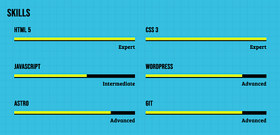 matthewgoddard.com Skills bar chart branding design flawed human being graphic design skills ui