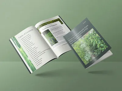 Understory Alliance Presentation Design creative direction