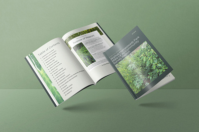 Understory Alliance Presentation Design creative direction