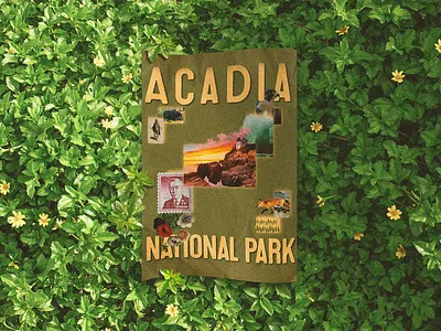 Acadia National Park Poster visual storytelling
