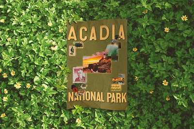 Acadia National Park Poster visual storytelling