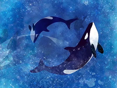 Orca art branding cool design graphic design illustration nature orca photoshop sea web イラスト