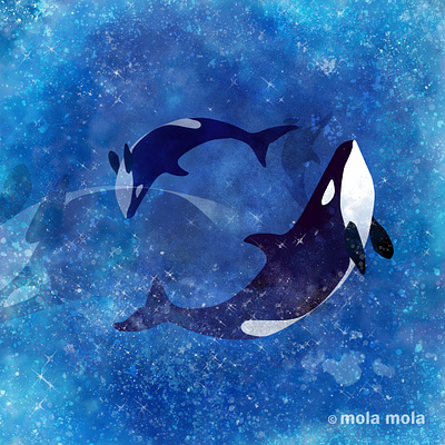Orca art branding cool design graphic design illustration nature orca photoshop sea web イラスト