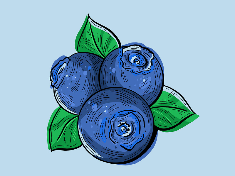 Organic Blueberry Illustration blue blueberry botany branding carving design digital art drawing etching food fruit healthy illustration lino nature organic packaging sticker texture vegan