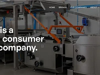 Web Design for Punjas branding creative fmcg manufacturing ui website