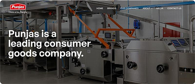 Web Design for Punjas branding creative fmcg manufacturing ui website