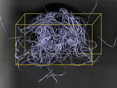 Roots art design illustration nature