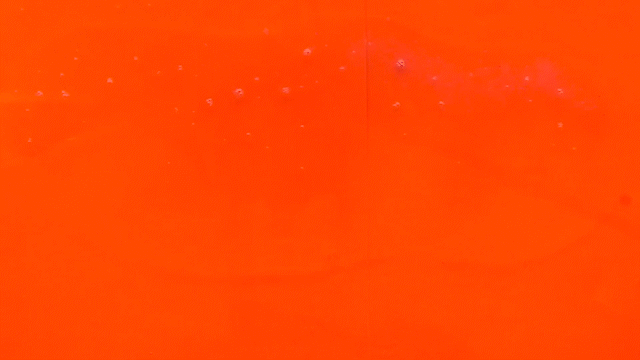 Vibrant animation art design illustration