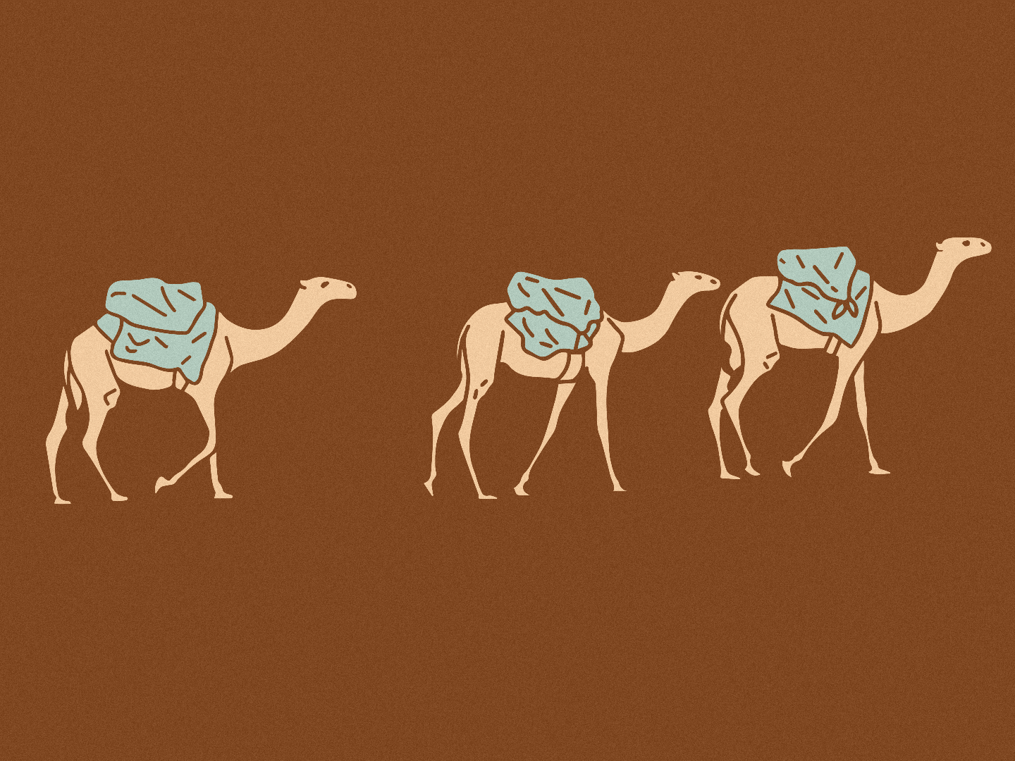 Camels by Kelly Solesby on Dribbble