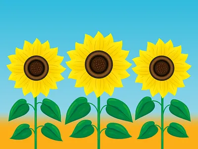 Sunflowers 🌻🌻🌻 cartoon design digitalart digitalillustration field field of sunflowers graphic design illustration landscape nature sky summer sunflower vector vector illustration