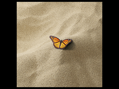 Ex.332 album art butterfly cd cover ep lp music sand sleeve vinyl