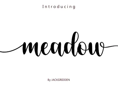 meadow font best branding font graphic design handwritten logo meadow quality script typography
