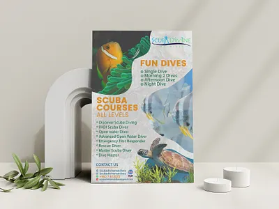 Fun Dives Flyer Design showcaseflyer