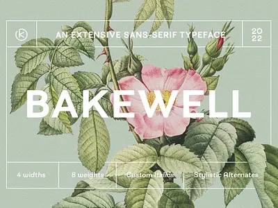 Bakewell Complete Family advertising bakewell complete family branding easy reading font family greeting card hairline headline invitation logo identity modern narrow font sans serif sans serif font sans typeface text wide font