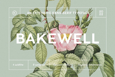Bakewell Complete Family advertising bakewell complete family branding easy reading font family greeting card hairline headline invitation logo identity modern narrow font sans serif sans serif font sans typeface text wide font
