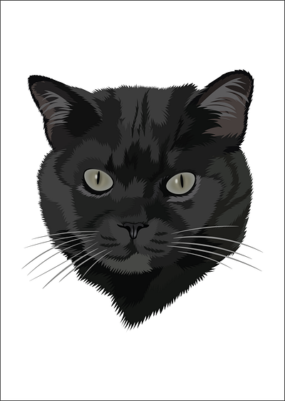 Marcus art cat digitalart illustration portrait vector