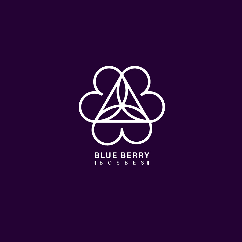 LOGO BLUE BERRY BOSBES branding graphic design logo