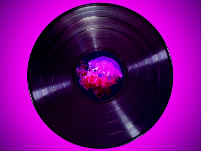 Jellyfishin' - Record Animation 3d after effects album art animation animation design branding design gif gif design gif loop graphic design jellyfish motion design motion graphics music music art photoshop premiere record design record label