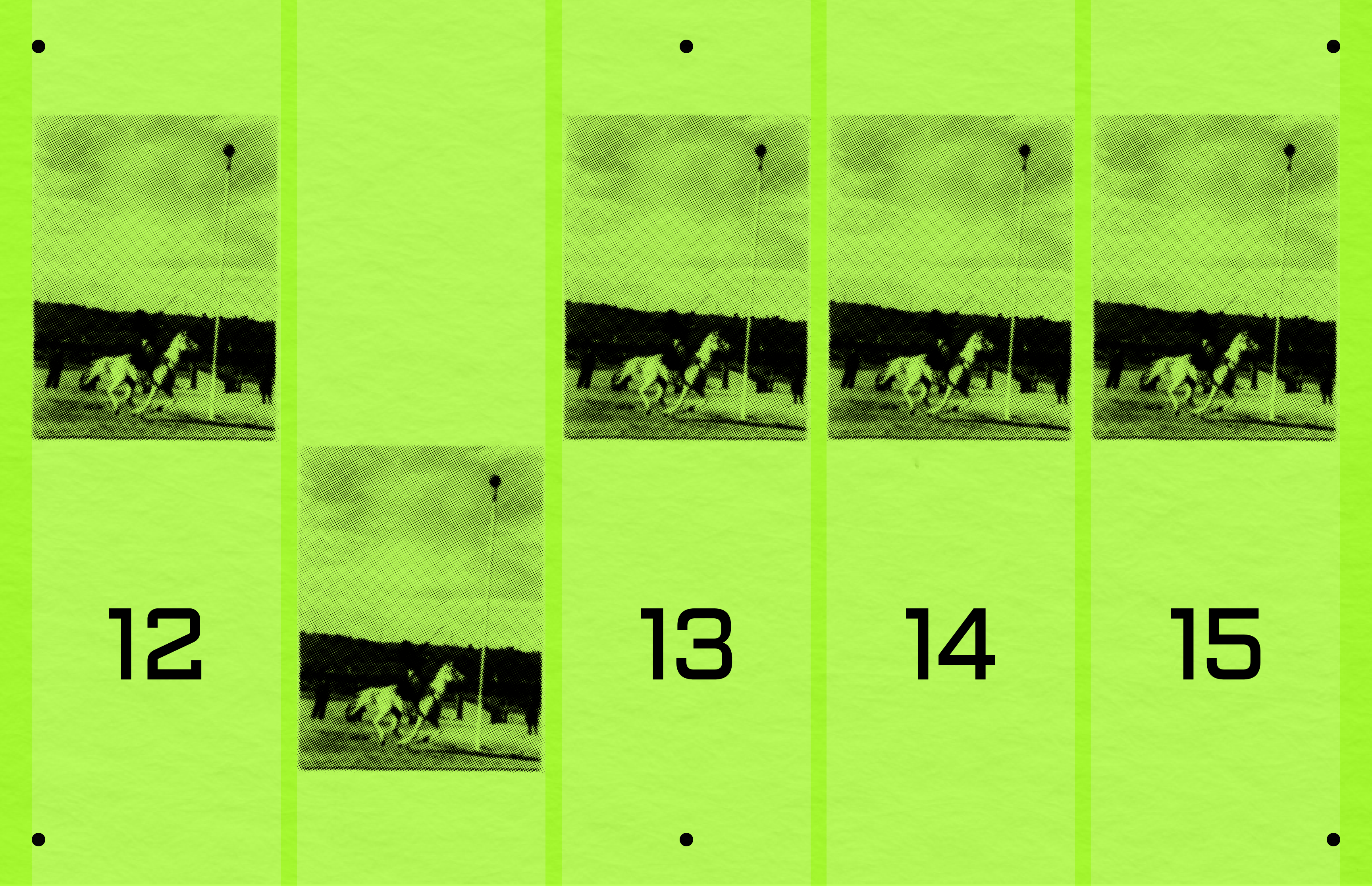 Equestrian Sports / Poster equestrian sports experimental design graphic design horse horse sports layout minimalist minimalist design poster poster design print sport ui