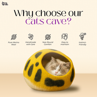 Ad for a cats cave graphic design
