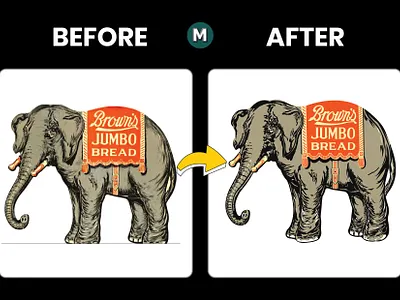 Raster to Vector Perfection 3d animation branding color design graphic design illustration illustrator logo motion graphics ui ux vector visual branding