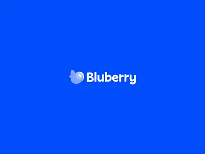 Blueberry product design