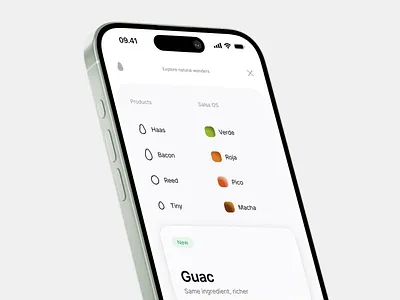 Menu app fruit icon menu product responsive shrimp ui web