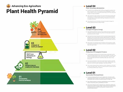 Agriculture Infographic graphic design illustration infografik infographic