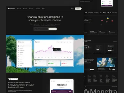 Monetra - Financial Landing Page b2b bank cansaas clean dark theme design finance fintech interface landing page marketing minimalist money saas sales startup ui ux web web design