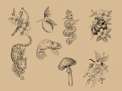 Tattoo scetches #3 design graphic design illustration scetch