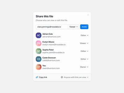 Minimal Share File Modal dark dark mode invite light light mode minimal modal product product design share file share modal ui ui design ux web web design