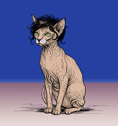 fooling no one :: fugly part 2 doodle fugly illustration naked cat shunte88 toupee vector wig