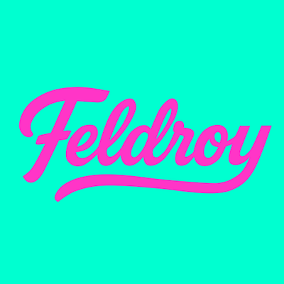 Feldroy Wordmark Logo branding cursive logo open source python software startup tech wordmark