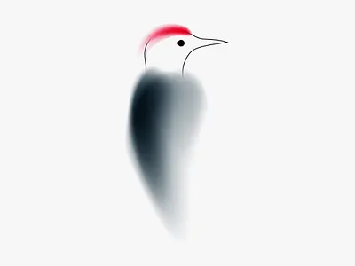 Woodpecker abstract animal art bird blur gradient illustration minimal modern vector wild woodpecker