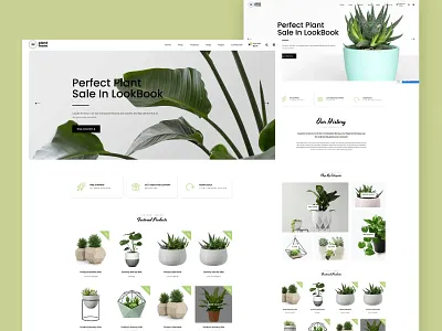 Shopify Store Development & CRO Optimization conversion rate optimization migration page template product page shopify shopify product page template web desgin