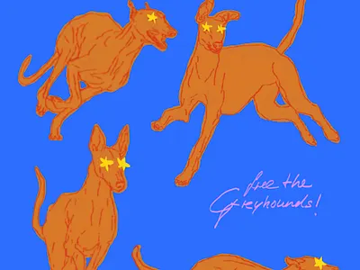 free the Greyhounds! art digitalwork graphic design illustration