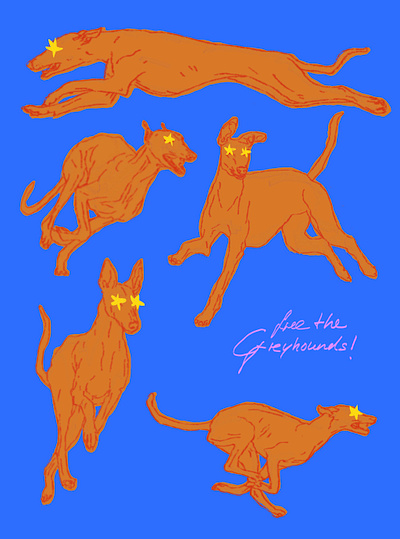 free the Greyhounds! art digitalwork graphic design illustration