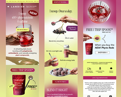 Phyto Reds — High-Converting Product Launch Email Design e commerce growth email campaign design email copywriting email marketing email template klaviyo email design klaviyo email marketing lifestyle branding newsletter design product launch campaign uiux for email wellness branding