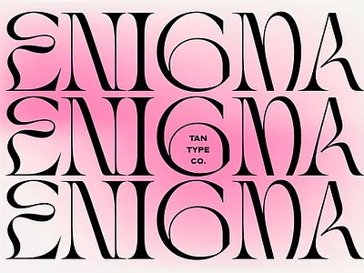 TAN - ENIGMA Elegant Display Serif Font display serif font display type elegant display elegant display serif elegant font fashion font serif display serif font tan enigma elegant