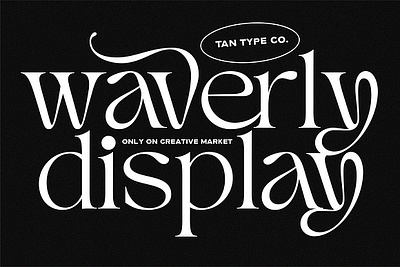 TAN - WAVERLY Elegant Serif Typeface Font classic font display font display type display typeface elegant font elegant type fashion font fashionable font