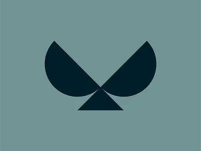 Eagle artist artwork branding design graphic design icon illustration logo vector