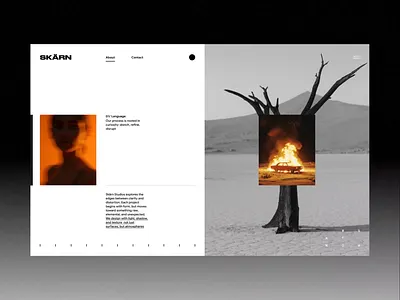 skärn// / animation landing ui web webdesign webpage website