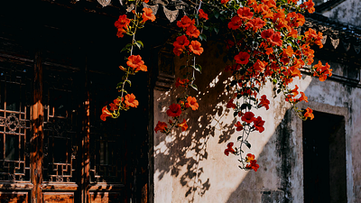 古建繁花 and shadow enriches light.