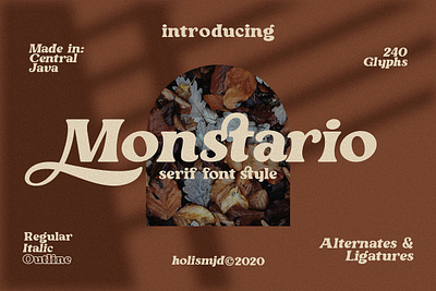 Monstario Serif classic font classic typeface display font invitation font italic font logo font modern font monstario serif postcard font quote font sans serif sans serif font serif font vintage vintage font