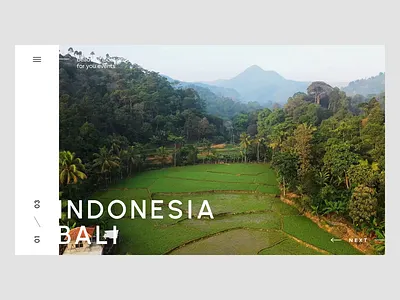 Travel Website Concept animation branding design graphic design illustration travel ui ux website