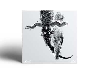 Vynil cover design composition cover design covr graphic design illustration layout printing vynil