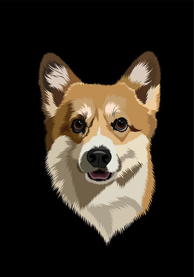 corgi animal illustration art cartoon style corgi cute dog digital illustration digitalart dog dog face dog portrait flat illustration illustration minimalist illustration pet pet portrait portrait vector vector art vector portrait welsh corgi
