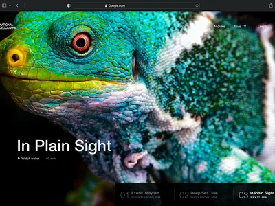 National Geographic Carousel 3d carousel figma motion graphics ui ux