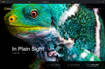 National Geographic Carousel 3d carousel figma motion graphics ui ux