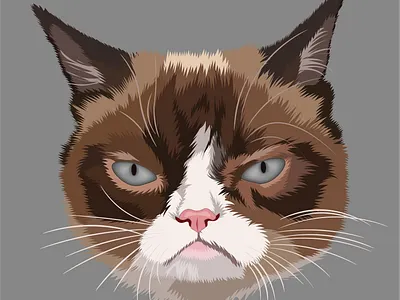 grumpy cat cat catart digitalart grumpy cat illustration pet petart portrait vector
